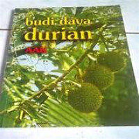 Image of Budi Daya Durian