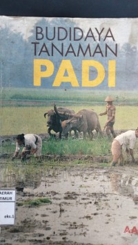 Image of budidaya Tanaman Padi