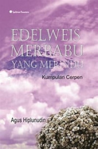 Image of Edelweis Merbabu yang Merindu