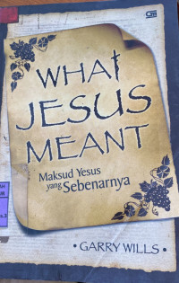 Image of What Jesus Meant